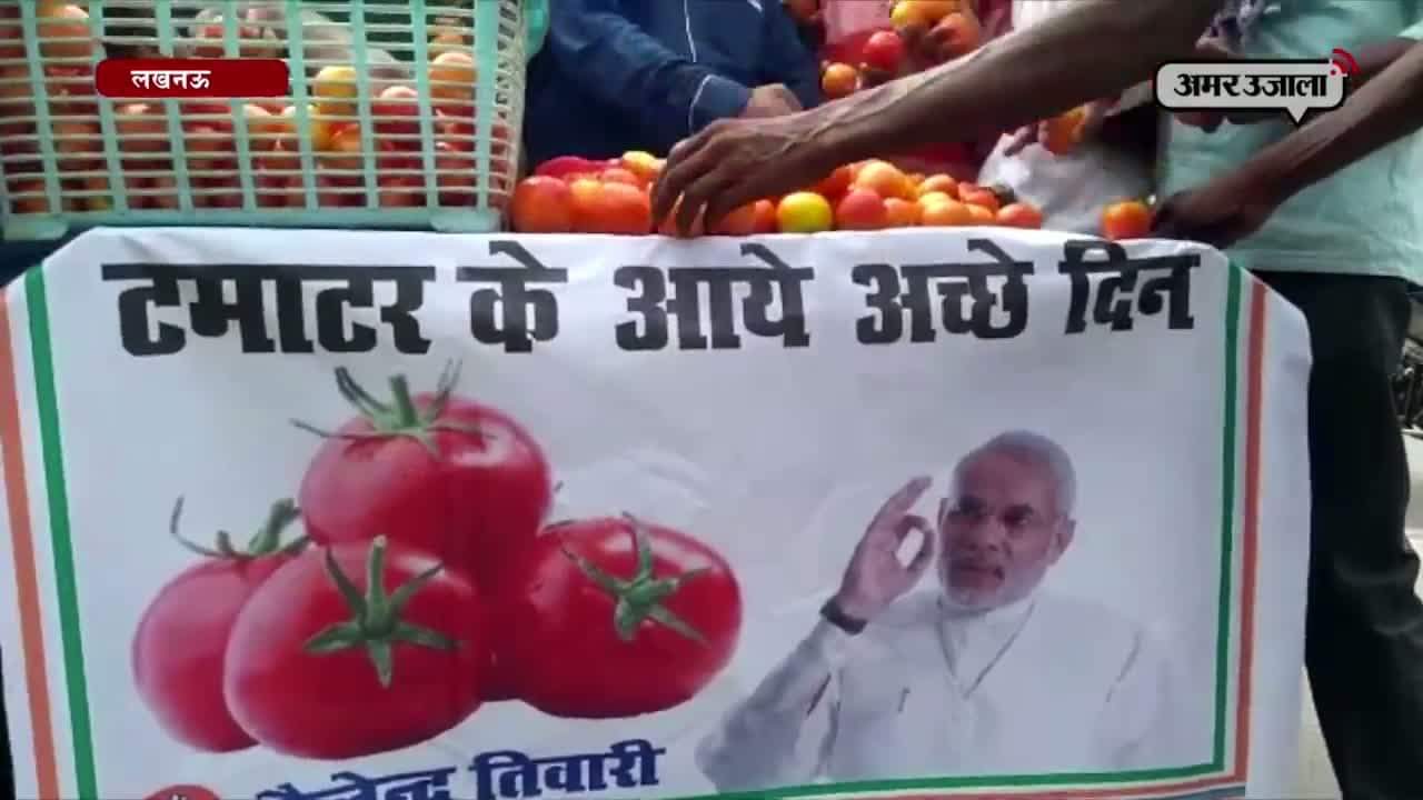 लखनऊ, टमाटर 