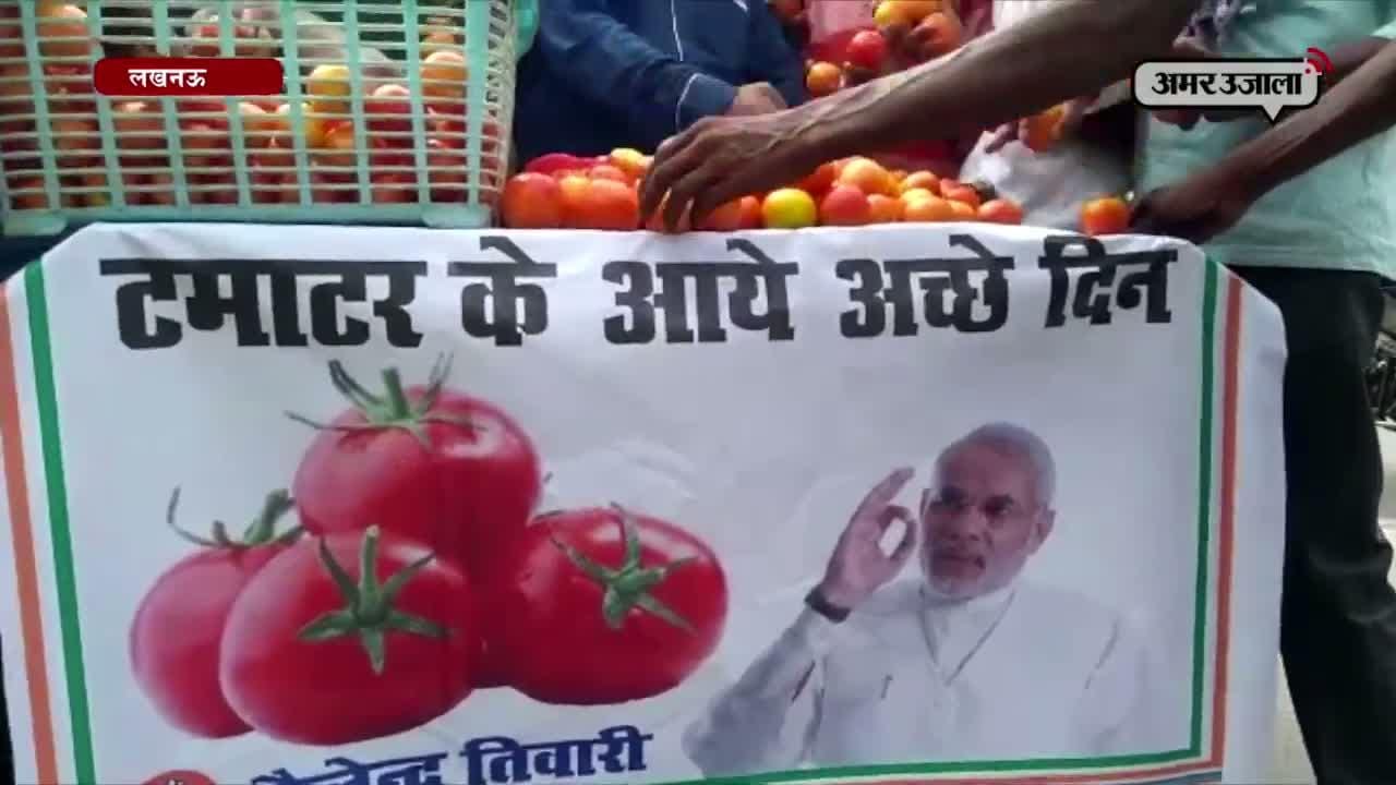 लखनऊ, टमाटर 