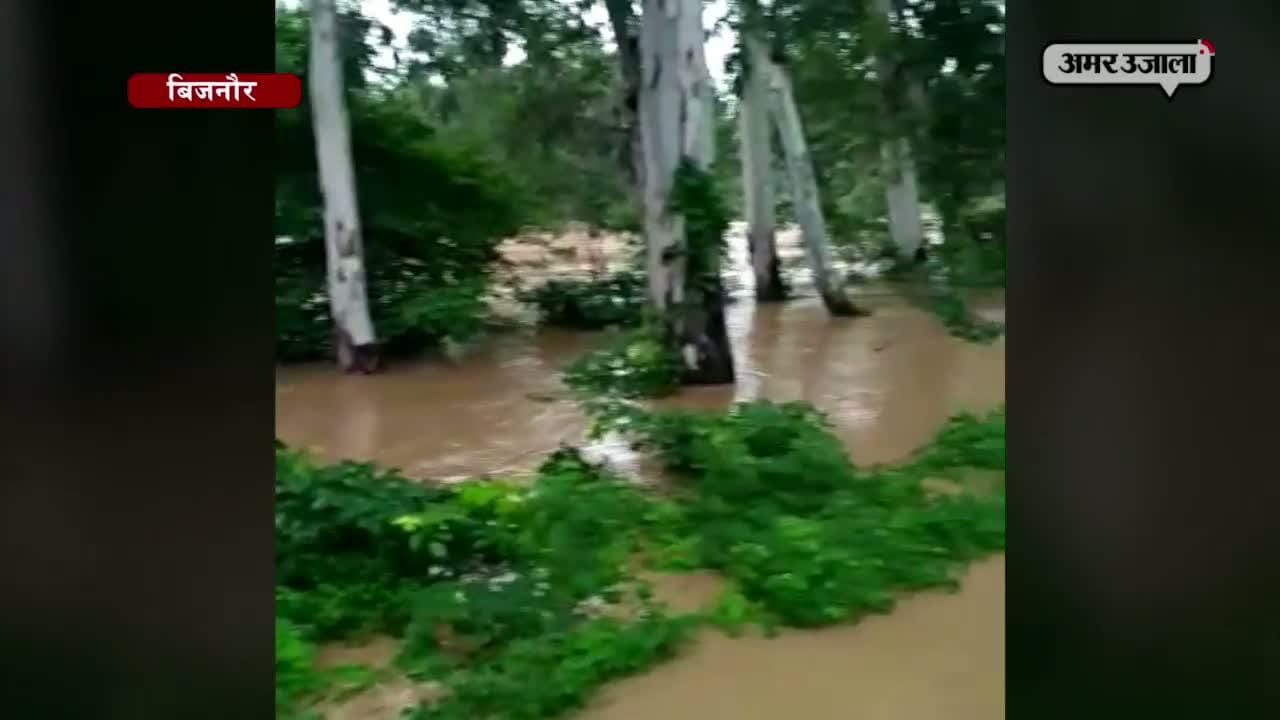 बिजनौर