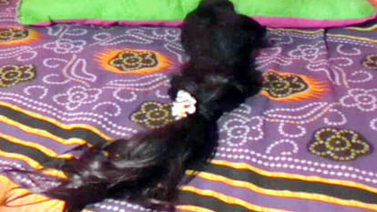 Hair cutting offense result says mufti mumtaj alam