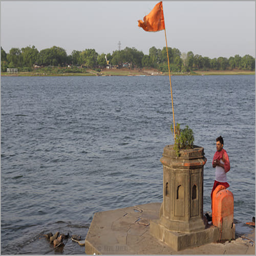tulsi vivah 2019 keep 5 leaf of tulsi or holy basil for money