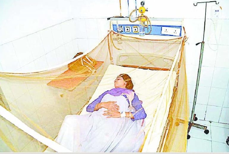 Five patients of dengue in district