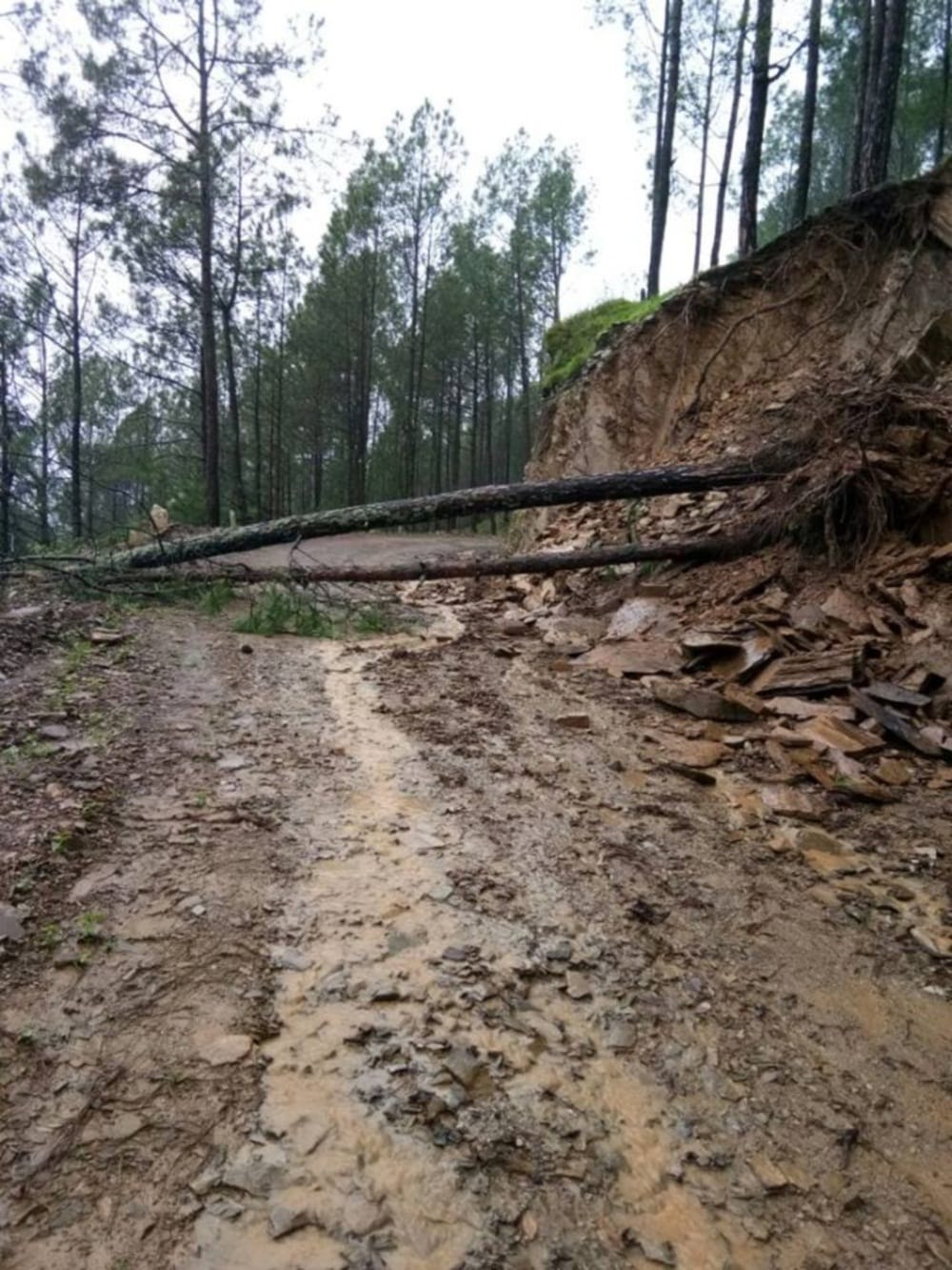  heavy rain, road block and landslide in uttarakhand