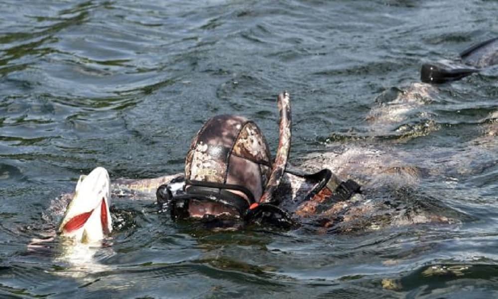 See in pics, Russia's Vladimir Putin bares chest on Siberian lake trip in mountain lake in Siberia