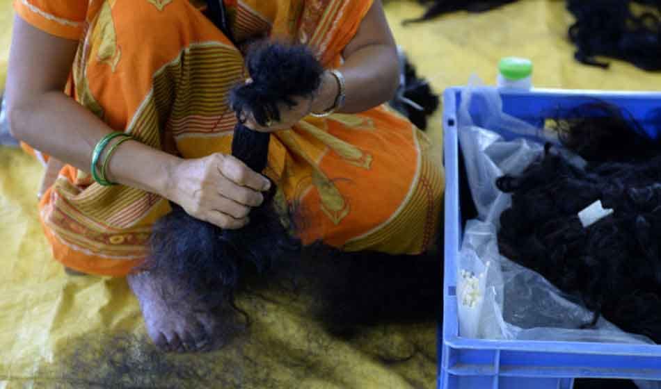 truth reveals behind women braid chopping in punjab
