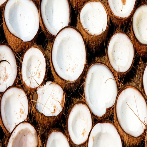 When the coconut of worship is spoiled, know god sign