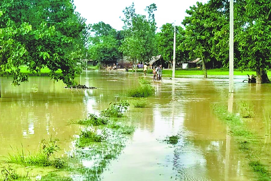 Seven villagers house in Ghaghra