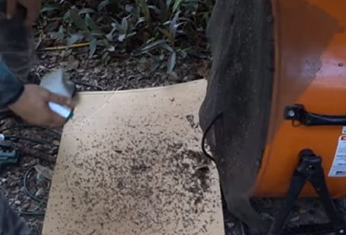 DIY technique to kill 4000 mosquitos everynight   without spending money