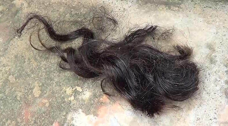 पानीपत, चोटी कटी 