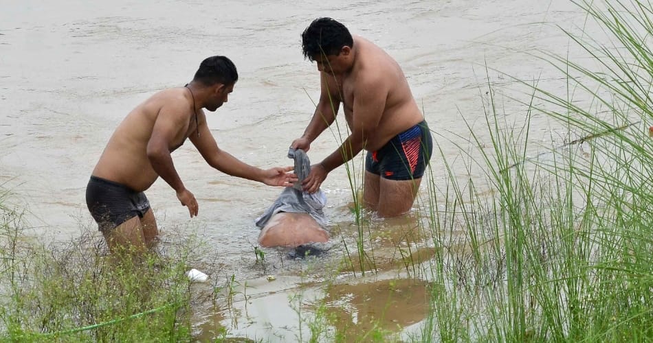 Dead body found from botanical park sarangpur