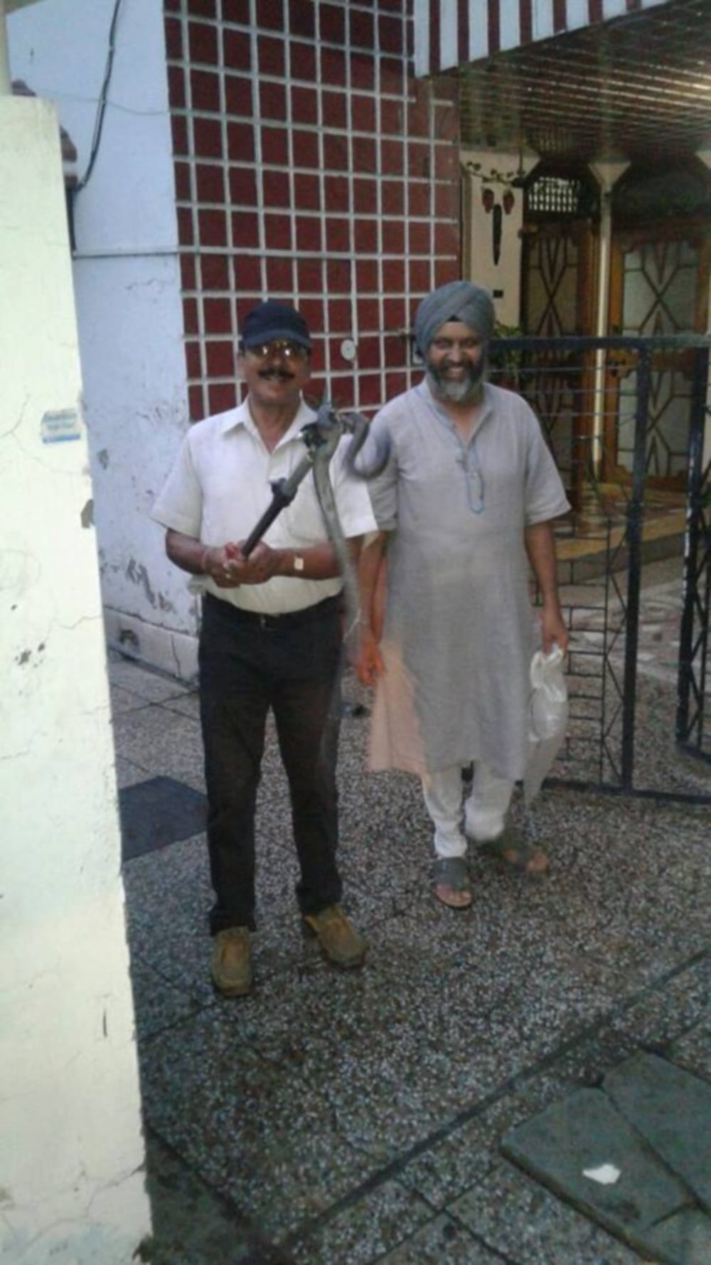 king cobra found in a home in haldwani