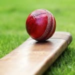 cricket