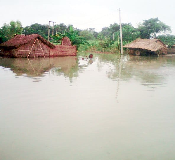  Island and house made island, crops ripen in water