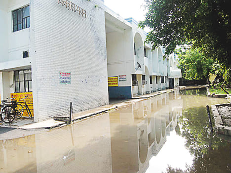 Waterfowl in many neighborhoods with 49 mm rain