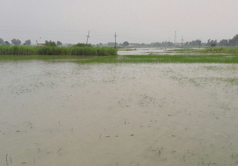 Crop sinking