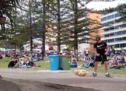 Watch pet dog throwing tantrums in park while owner dragging him home