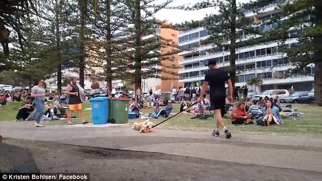 Watch pet dog throwing tantrums in park while owner dragging him home
