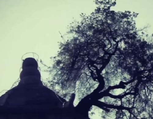 100 years old tree on 140 foot pagoda of Ming Dynasty at Hubei in China