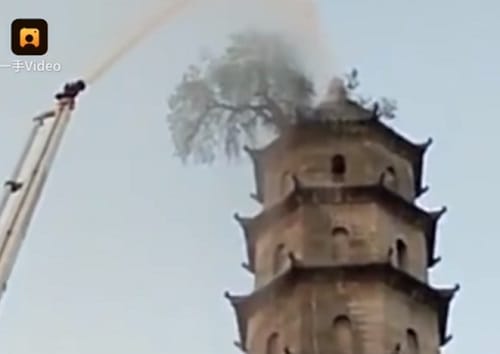 100 years old tree on 140 foot pagoda of Ming Dynasty at Hubei in China