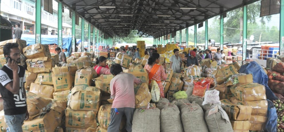 Himachal Kullu Twelve percent GST on Apple Packaging Cartons