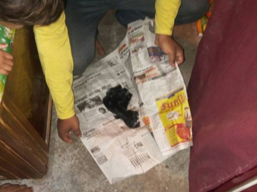 photos of women choti cut during bath in haridwar