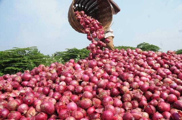 onion price got doubled after limitedness in stock 