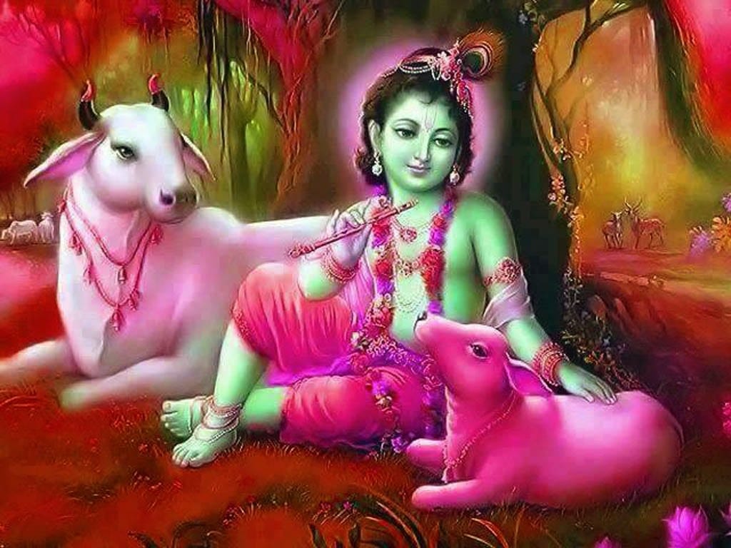 shrikhrisna janmastami festival falls on 15 august 2017