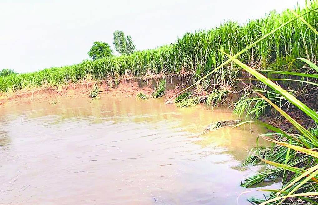 Kailash river distressed farmers 