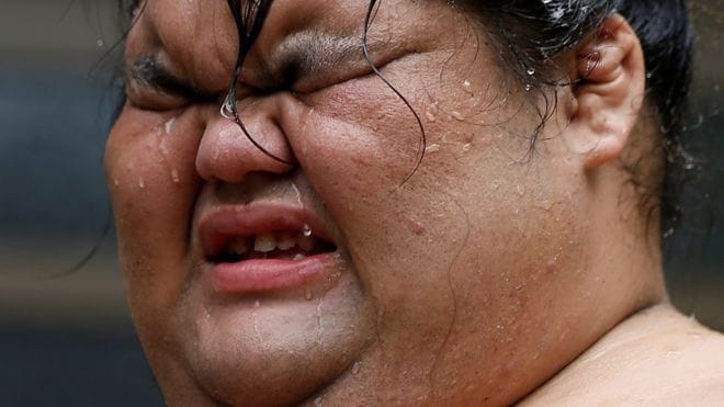 These Pictures Will Help You to know inside the secret world of japans elite sumo wrestlers