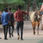 जानवर