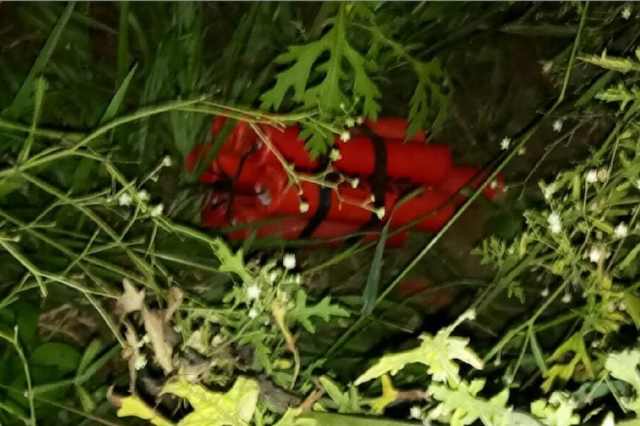 A bomb thrown in RSS activist's home in bahraich