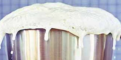 painful incident happened at hamirpur children died by fall in hot milk 