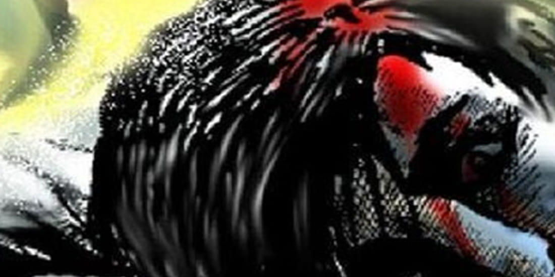 uncle nephew bloody fight at hamirpur