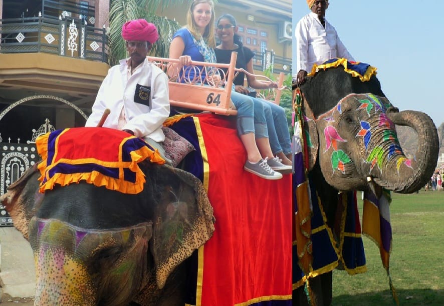 This unique 'Hathi village' has been set up for elephants