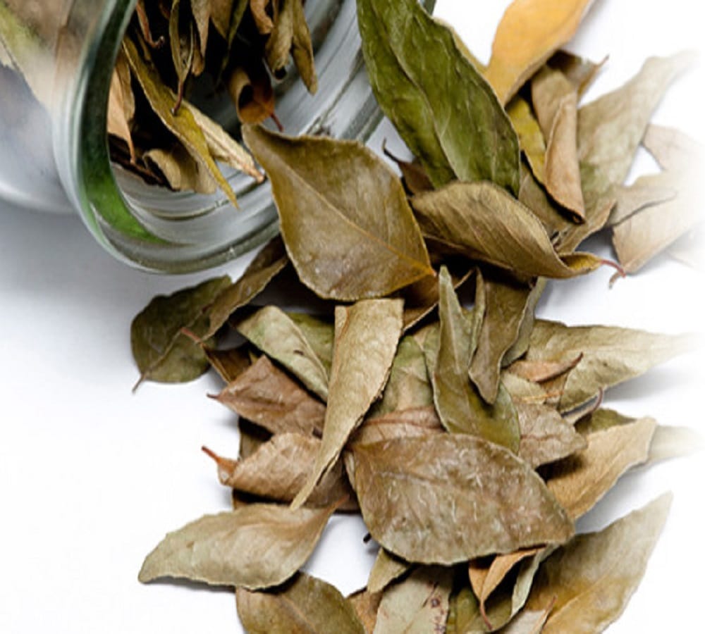 This easy home remedies will make you tension free from the cockroach