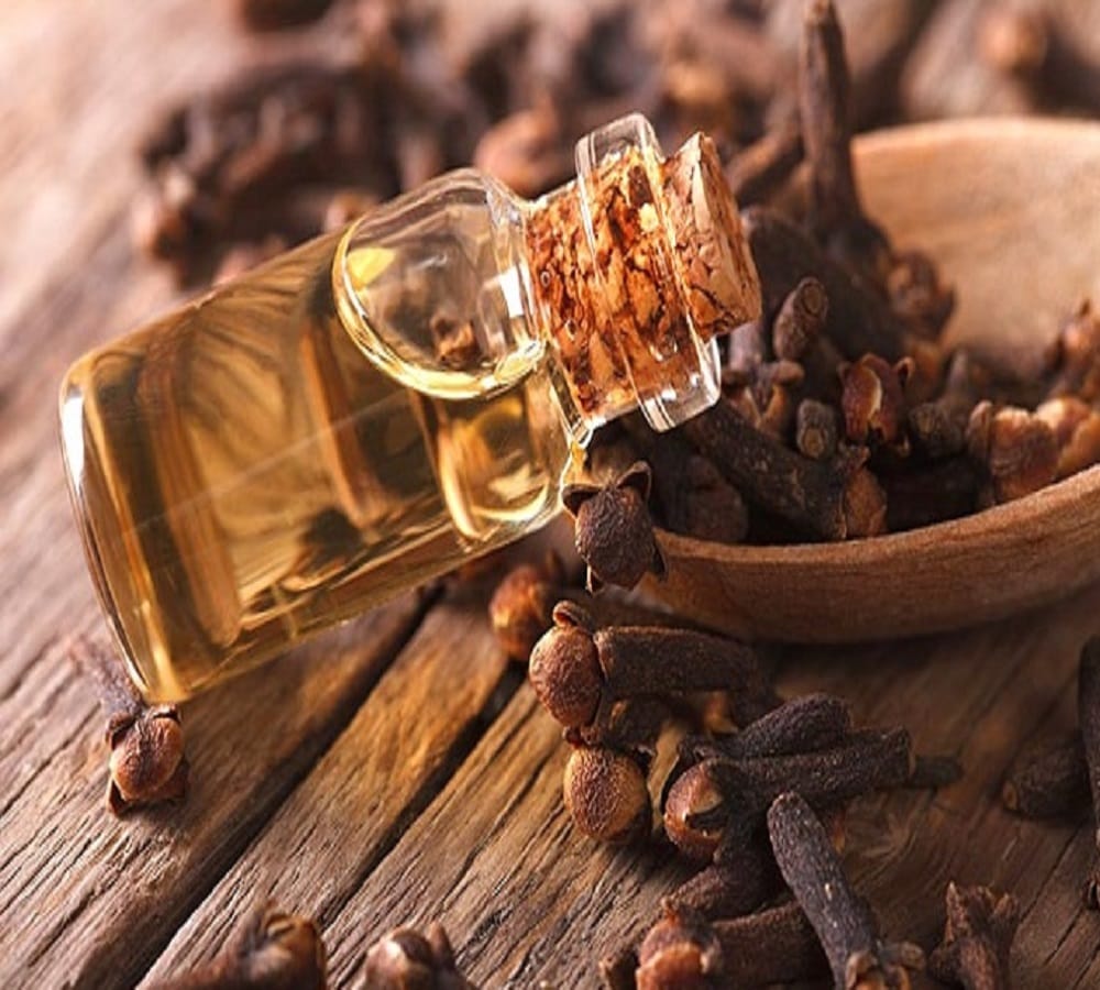 This easy home remedies will make you tension free from the cockroach
