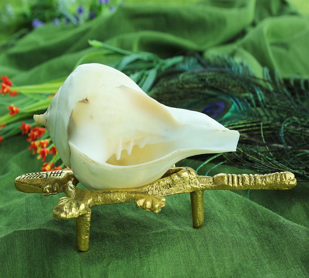 do these things during Krishna janmashtami festival for attract money