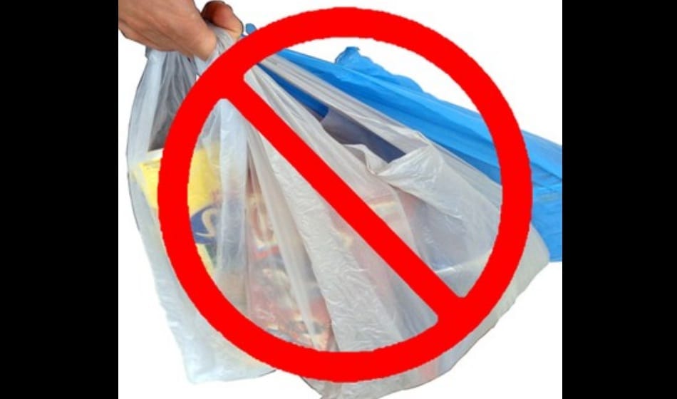ban on plastic bags in delhi whoever found using should have to pay fine