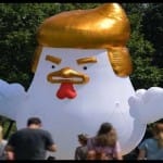 chicken ballon