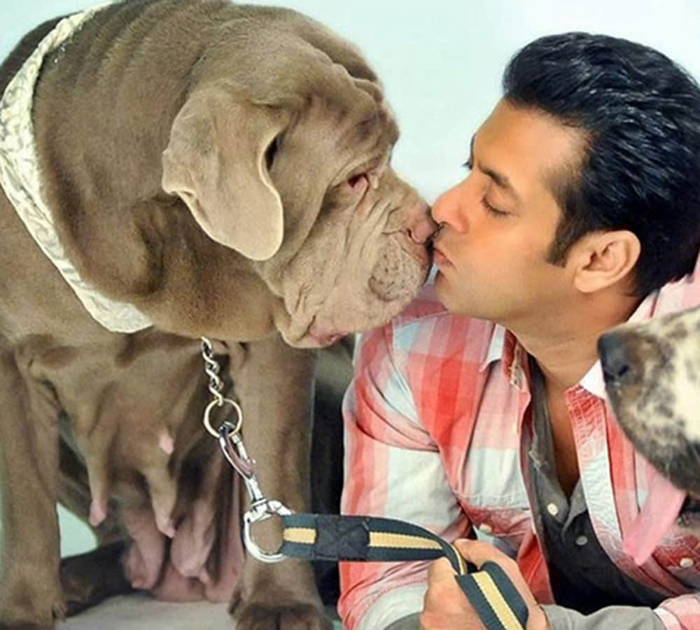 salman khan loves his dogs and spends too much money on them