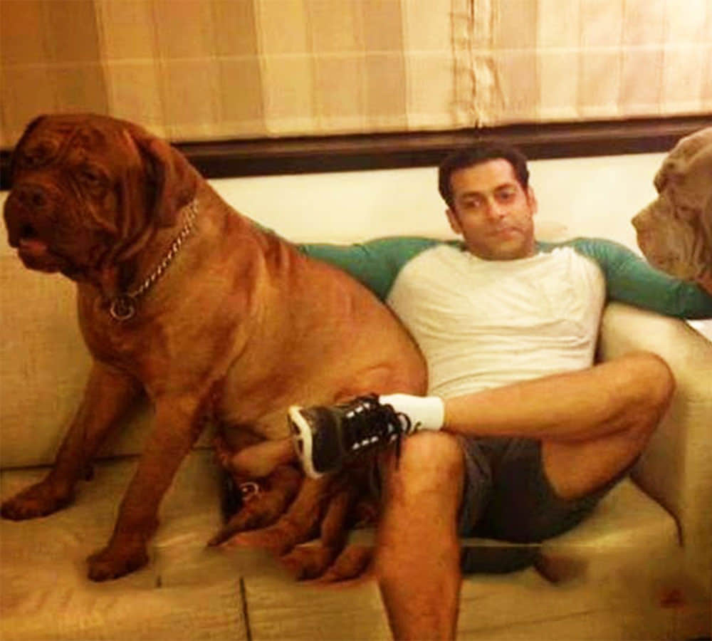 know about salman khan property and annual income