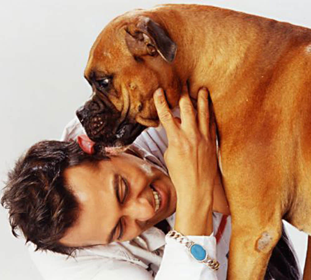 salman khan loves his dogs and spends too much money on them