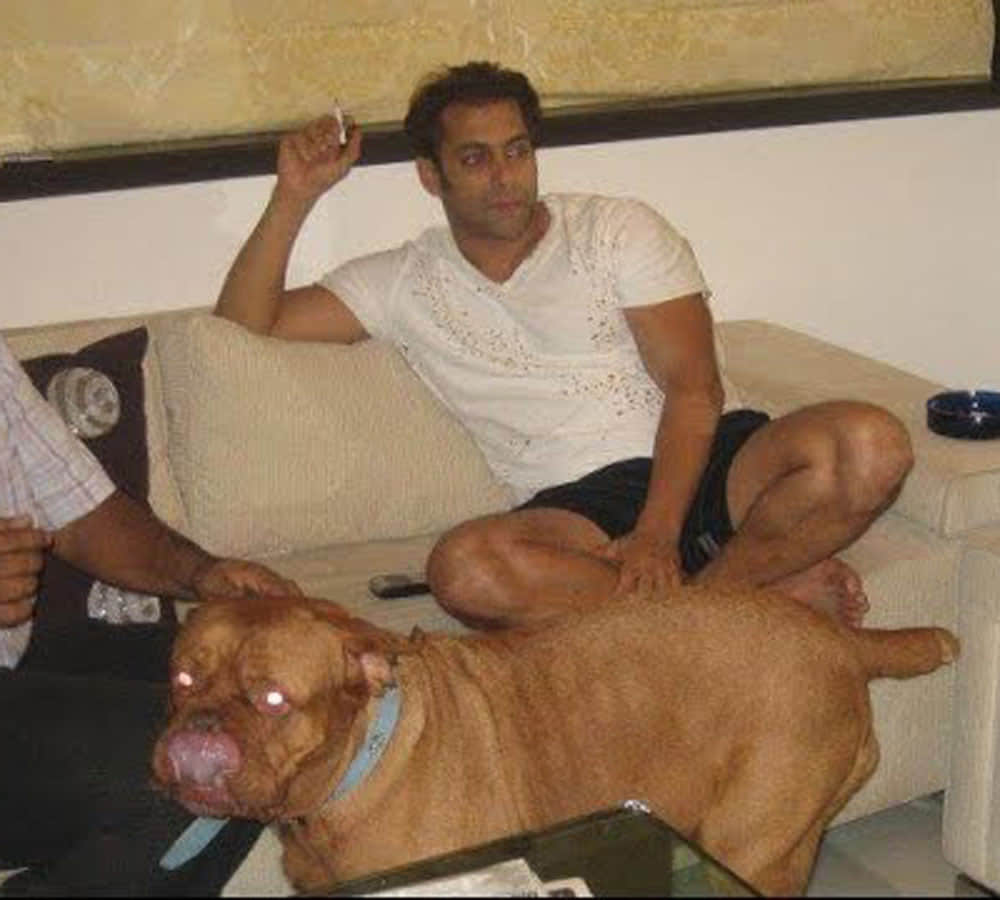 know about salman khan property and annual income
