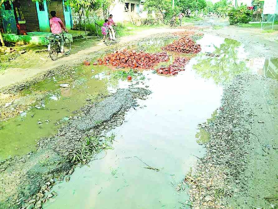 Roads started rooting as soon as they were built
