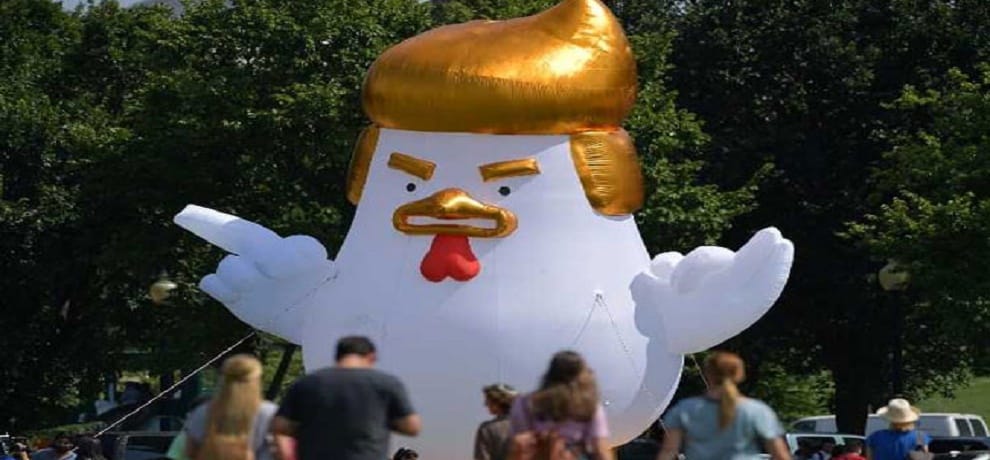 Activist Places Inflatable 'Trump Chicken' Near White House