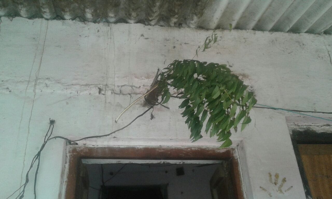 varanasi people applying these type of drips for avoid chotikatwa