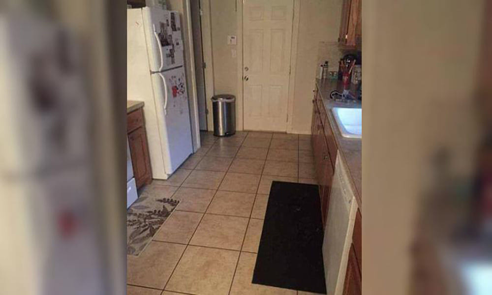 can you spot a child and dog in kitchen photo