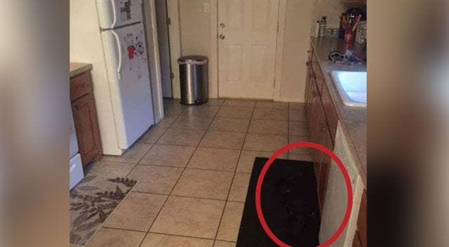 can you spot a child and dog in kitchen photo