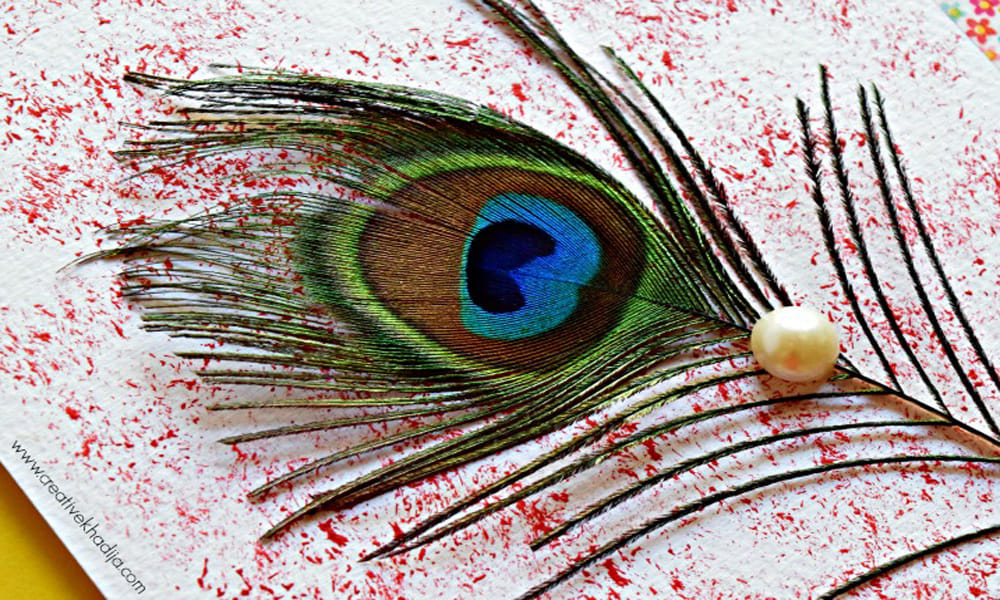 janmashtami 2017 use mor pankh or Peacock feather for money