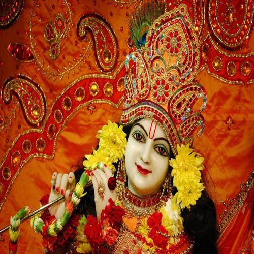 janmashtami 2017 use mor pankh or Peacock feather for money